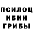 Псилоцибиновые грибы GOLDEN TEACHER Gavril Shkul